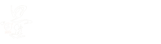 爱游戏体育